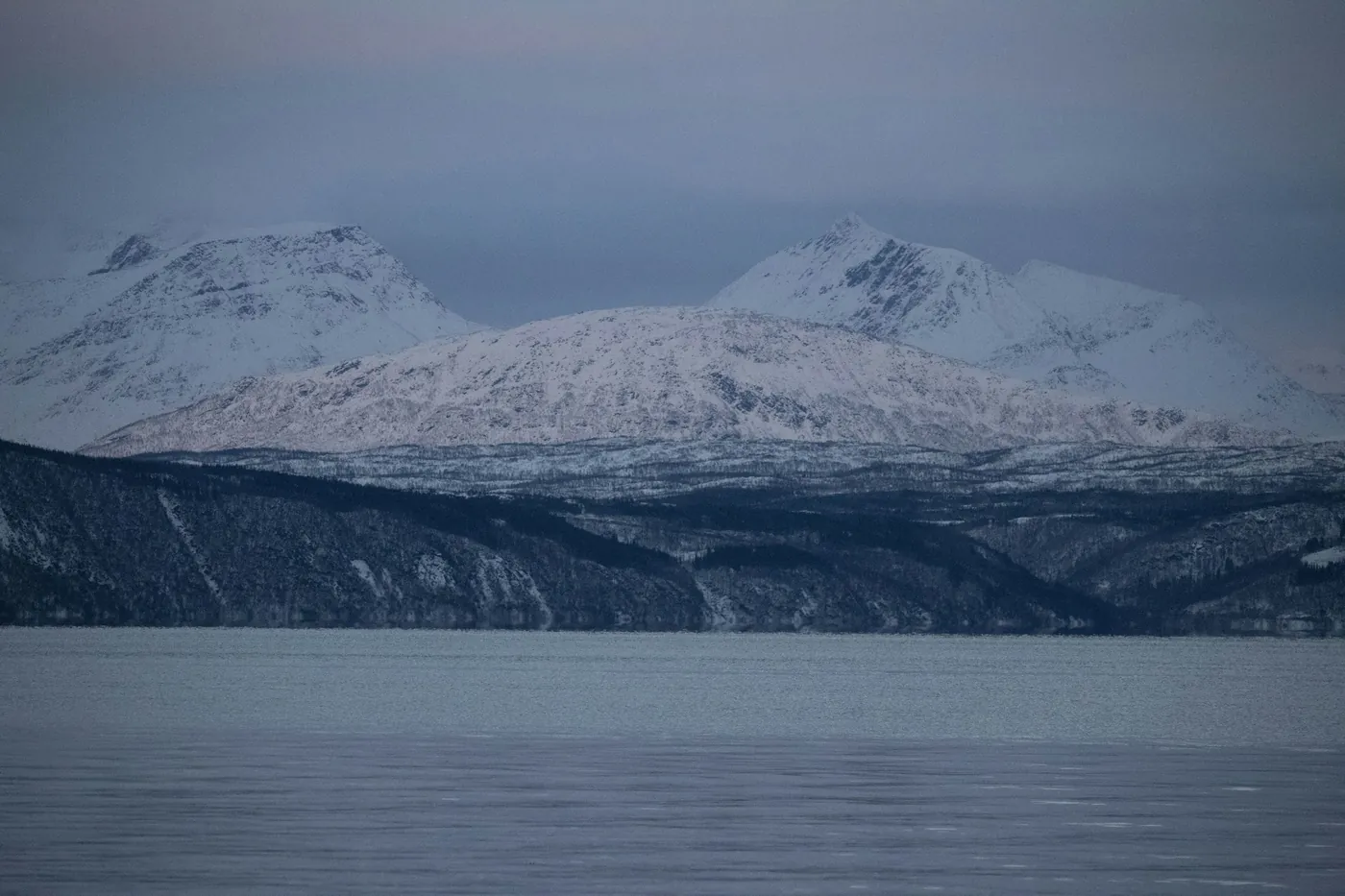 Snowy peaks above a dark forested shore and still fjord water near Narvik in soft blue winter light